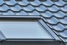 Staghorn Flatskylight-replacements.jpg; ?>